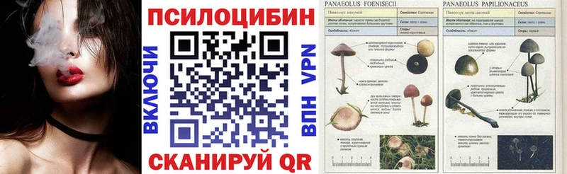 Галлюциногенные грибы Psilocybine cubensis  Алексин 